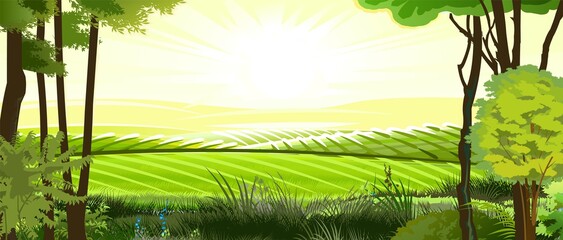 Wall Mural - rural hills. landscape with trees. vector. pasture grass for cows and a place for a vegetable garden
