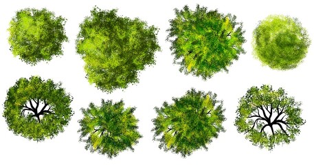 Wall Mural - Collection of abstract watercolor green tree top view isolated on white background  for landscape plan and architecture layout drawing, elements for environment and garden.  