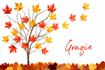 Wall Mural - branches building tree with bright colorful leaf decoration. red and yellow leaves flying away due t