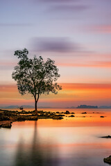 sunset at the tropical beach