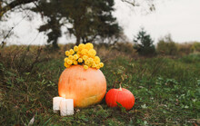 Two Ripe Pumpkins Are Lying On The Grass On Top Of A Bouquet Of Yellow Flowers Candles Are Burning.