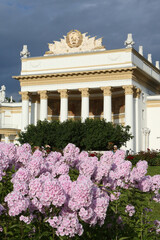 Wall Mural - Flowers of pink garden phloxes, grade Rosa Pastell. Moscow city architecture, park. VDNKh, Exhibition of Achievements of National Economy, Pavilion 71, RSFSR. Summer