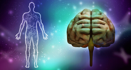Wall Mural - 3d illustration human health brain