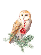 Watercolor Christmas Tree Wreath With Owl. Hand Painted Polar Bird With Christmas Toy Isolated On White Background. Merry Christmas Card