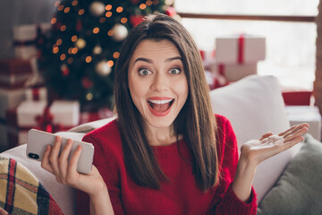 Poster - Portrait of crazy girl hold smartphone x-mas noel bargain concept sit couch in house indoors with christmas decoration