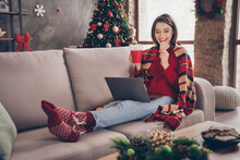 Photo Of Cute Lady Sit Sofa Hold Netbook Eat Biscuit Drink Cacao Wear Plaid Red Jumper Socks Jeans In Decorated X-mas Living Room Indoors