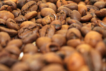 Indonesian roasted coffee beans, your source for a cup of coffee