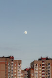 Fototapeta Lawenda - Evening blue sky with big full moon over the top of buildings.