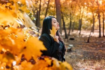 young beautiful woman in the autumn park