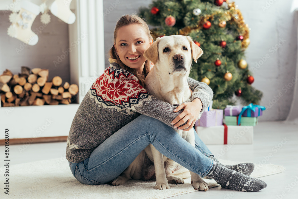 happy woman in sweater sitting on floor with labrador near decorated christmas tree - obrazy, fototapety, plakaty 
