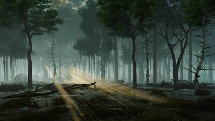 Wall Mural - mysterious woodland scenery with supernatural fairy firefly lights flying in a last sun rays shining