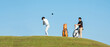 © freebird7977 - Golfer sport course golf ball fairway.   Group People lifestyle man and friend playing game golf tee of on the green grass.  Asia men player game shot in summer.  copy space for banner