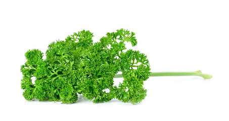 Wall Mural - Parsley leaf or Petroselinum crispum leaves isolated on white background ,Green leaves pattern