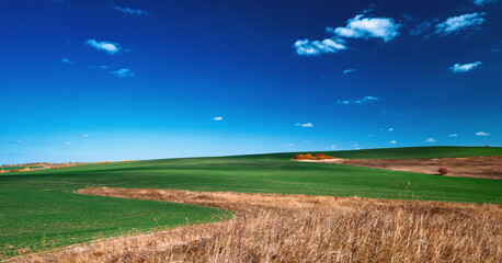Wall Mural - panoramic landscape of central russia agricultural countryside with hills and country road. autumn l