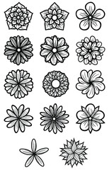 Wall Mural - Hand Drawn Flowers Line Art Vector Illustration
