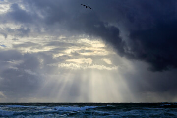 Wall Mural - Cloudy sky with sunbeams at sea