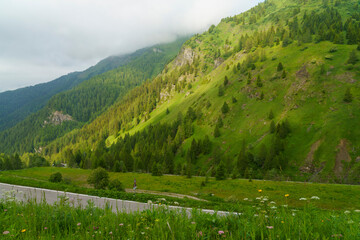 Mountain landscape along the road to Passo Giau, Dolomites, Veneto, Italy