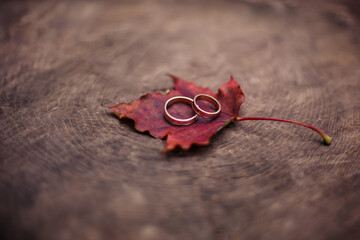 Close-up photo of wedding rings with autumn leaves