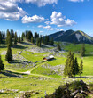 Bayern / Alpen: Wanderung zum Schafreuter - schöne saftige Wiesen, Alm und Berge