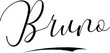 Bruno -Male Name Cursive Calligraphy on White Background