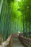 Fototapeta Do pokoju - 化野念仏寺の竹林