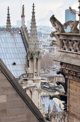 Wall Mural - Panoramic view of Paris city from Notre Dame roof