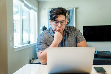 Wall Mural - man working from home on laptop computer