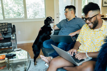 Wall Mural - happy gay couple working from home with laptops on couch with their australian shepherd
