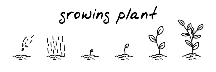 Plant growing concept handdrawn illustration. Cute cartoon vector clip art with 6 illustrations depicting different stages of plant growth from sowing to leaves. Black and white linear sketch