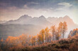 © OLya_L - Sawtooth mountains of Idaho in the fall in the evening light.