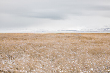 Wall Mural - fern field long exposure Utah lake