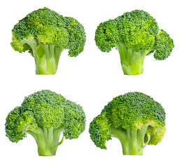 Wall Mural - Fresh broccoli in closeup isolated on white background