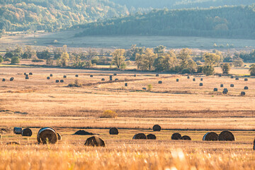 Massive hay field dry with a clear cut path mountain backdrop warm color bulgaria rural landscape sun day clear blue sky