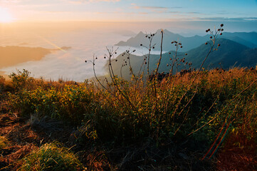 Beautiful mountains landscape. Sunrise on Phu Chi Fa, North Thailand.