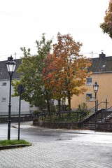 Poster - bunte Herbstbäume an der Dorfstraße in LAngenfeld