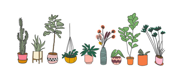 Wall Mural - potted plants collection. succulents and house plants. hand drawn vector art. Set of house indoor plant vector cartoon doodle