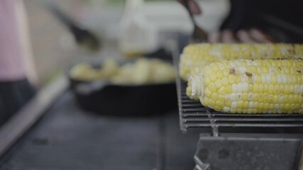 Wall Mural - Grilling organic fresh vegetables on an outdoor gas grill in the Summer.