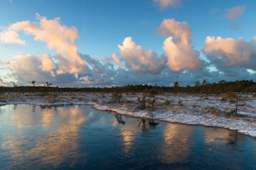 Wall Mural - Swamp lake with islands in sunny winter day in sunrise