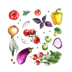 Artichoke, fennel, radish, rosemary, red onion. The composition of vegetables and herbs of Italian cuisine. Vegetables painted in watercolor on a white background. Colorful food count.