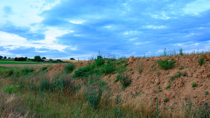 Wall Mural - field and sky with clouds