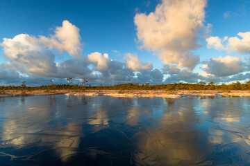 Swamp lake with islands in sunny winter day in sunrise