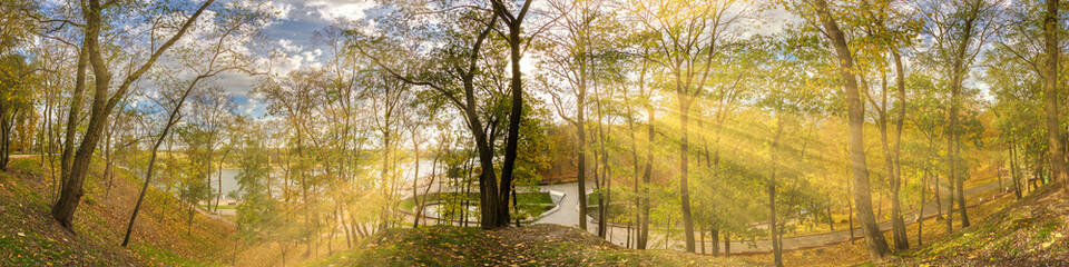 Beautiful autumn forest or park hdri panorama with bright sun shining through the trees. scenic landscape with pleasant warm sunshine