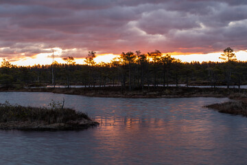 Swamp lake with islands in sunny day and sunrise