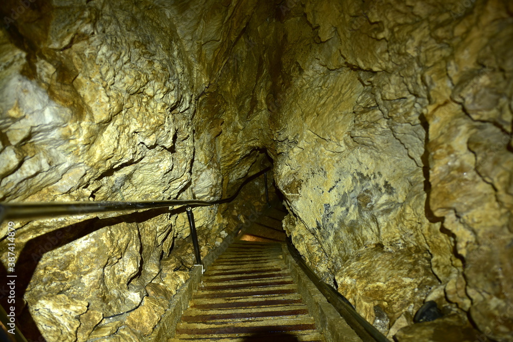 Jaskinia Niedźwiedzia w Kletnie kolo Stronia Śląskiego odkryta w 1966 roku. W miejscu tym odkryto szkielety niedźwiedzia jaskiniowego, lwa jaskiniowego i wiele innych zwierząt plejstocenskich - obrazy, fototapety, plakaty 