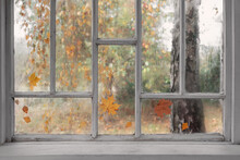 White Old Wooden Window With Rain Drops And Autumn Leaves