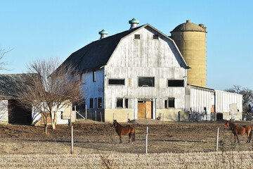 Wall Mural - Old White Barn