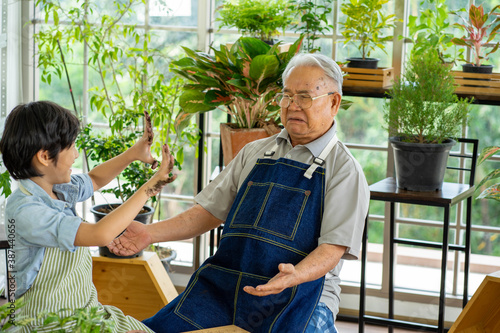 senior Asian man gardening with grandson holding soil for green plant in indoor greenhouse backyard.  New normal social distancing work from home concept.