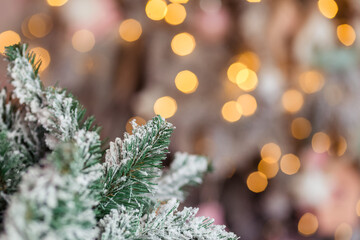 Poster - christmas tree branches with snow