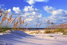 St George Island Florida Beach Scene With Sea Oats And Puffy White Clouds