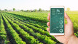 The farmer holds a phone and receives information parameters and data from agricultural field. Advanced technologies in agriculture. Agroindustry and agribusiness. European organic farming. Hi-tech